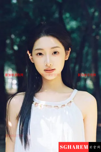 新加坡 SG escort 图集配图 2，主题为 后宫网（SGHarem）深度评测：更务实的入口与使用要点