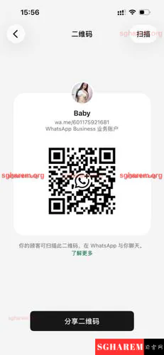 与 体验新加坡天上人间的优雅魅力 相关的新加坡伴游图集图片 4